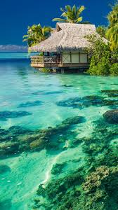 Maybe you would like to learn more about one of these? Photography Tropical Mobile Abyss