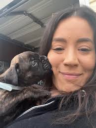 Introducing Bigelow, the cat who loves snuggling under covers