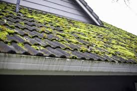 If so, you might understandably assume that you have a bad case of roof mold. How To Remove Moss From Roof Bob Vila