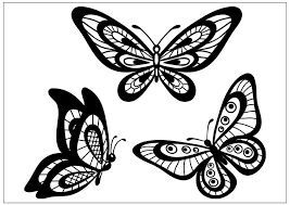 Black And White Butterfly Drawing Images Three Butterflies Butterfly Black And White Butterfly Line Drawing Simple Butterfly