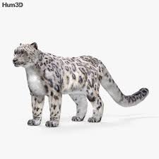 Snow Leopard Hd 3d Model Ad Leopard Snow Model Hd Snow Leopard Leopard Snow Texture