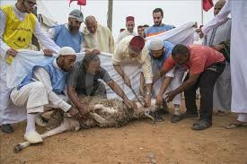 أحكام مُتعلِّقة بتكبيرات صلاة العيد. Ø§Ù„Ø­ÙˆÙ„ÙŠ ÙˆØ§Ù„Ø¬Ù„Ø¨Ø§Ø¨ Ø³ÙŠØ¯Ø§ Ø§Ù„Ø¹ÙŠØ¯ Ø§Ù„ÙƒØ¨ÙŠØ± Ø¨Ø§Ù„Ù…ØºØ±Ø¨ ÙˆÙƒØ§Ù„Ø© Ø§Ù„Ø£Ù†Ø§Ø¶ÙˆÙ„