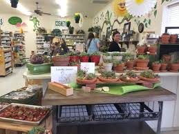 We educate customers regarding raising the immune system. Sunshine Nutrition Sunshine Health Foods 111 W 535 S Cedar City Ut Grocers Health Foods Mapquest