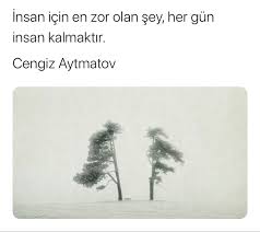 Zelal Dogan Adli Kullanicinin Sozler Panosundaki Pin 2020 Guzel Soz