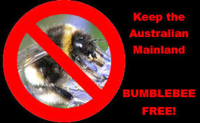The smell of peppermint oil and cinnamon is something bees and wasps hate. Why Import European Bumble Bees