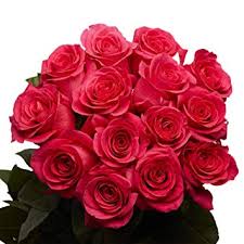 Various red, pink, blue and purple flowers isolated on black. Fresh Cut Flowers Available Buy Fresh Cut Marigold Flowers Fresh Cut Jasmine Flowers Long Stem Flowers Fresh Cut Flowers Product On Alibaba Com