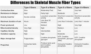 Aerobic Exercise Strength Training Does It Help Or Hurt Muscle Type I Type Chart