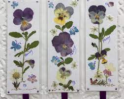 Pressed Flower Bookmarks Pansy Gifts Book Accessories Pansy Etsy In 2021 Flower Bookmark Pansy Gift Pressed Flower Art