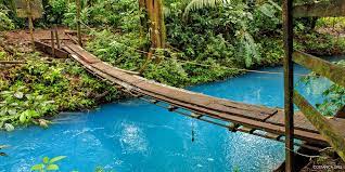 Aerial view of rainforest and oil palm plantations. Attraktionen In Costa Rica Strande Nationalparks Vulkane Vulkane