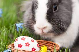 Das osterfest 2015 steht kurz bevor. Ostern 2015 Diese 9 Dinge Wurde Wir Ostern Lieber Finden Als Ostereier Stern De