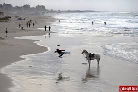 صيادين غزهلنش الحاج رجب الهسيالقرنه. Ø¨Ø­Ø± ØºØ²Ø© Ù…Ø³Ø§Ø¡ Ø§Ù„ÙŠÙˆÙ… Ø¯Ù†ÙŠØ§ Ø§Ù„ÙˆØ·Ù†