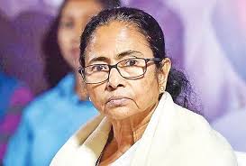 The Daily Janomotamot