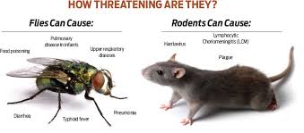 Screams rang through the cold night and the doctor burst out of his house, barely just grabbing his medical kit as he raced along the streets. Double Trouble Pct Pest Control Technology