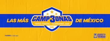 Playera de adulto producto oficial marca esto es tigres ideal para toda ocasión, suave al tacto estampado frontal en serigrafia, durable y de calidad, con el diseño de campeon femenil 2020. Tigres Femenil Home Facebook