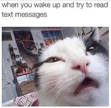 34 Memes You Ll Only Understand If Cats Rule Everything Around You Funny Cat Memes Cute Cat Memes Funny Animal Memes