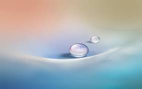 7,238 amazing nature wallpapers in hd. Android Free Hd Wallpapers Download Poto Butut