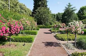 Diese station gibt es auch in den touren: Quermania Europas Rosengarten In Zweibrucken Eine Der Schonsten Garten Und Parkanlagen In Rheinland Pfalz Urlaub Ausflugsziele Und Sehenswurdigkeiten