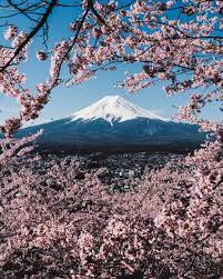 I Climbed Mt Fuji Once I Got Acute Altitude Sickness And It Was Really Tough So For Me It S Not For Climbing Mount Fuji Japan Japan Photography Tokyo Travel