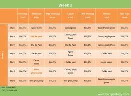 6 Month Old Feeding Schedule Free Printable Food Charts Paperblog Baby Food Schedule Baby Food Recipes Baby Food Chart