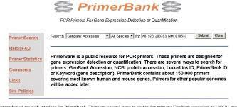 A primer on bank business and balance sheet risk moorad choudhry search for more. Figure 3 From A Pcr Primer Bank For Quantitative Gene Expression Analysis Semantic Scholar