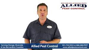 Get directions, reviews and information for allied pest control, inc. Allied Pest Control Home Facebook