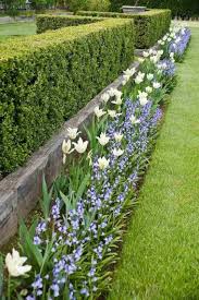 Cloture De Jardin Pas Cher Diy En Quelques Idees A Ne Pas Manquer Con Immagini Idee Giardino Roccioso Siepi Da Giardino Aiuole