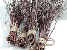 Birch Branches For Sale Sale Birch Branches 100 Pcs Wood Twigswoodland Etsy Birch Branches Birch Tree Decor Birch Wood Decor