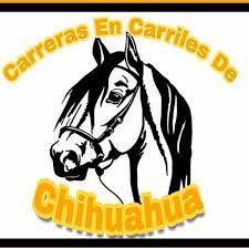 Carreras En Carriles De Chihuahua Home Facebook