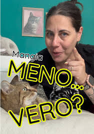 Trucchetto per invogliare il tuo micio!