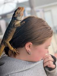 Bearded Dragon Lover