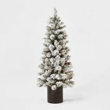 The balsam fir does not have reflexed bracts on its cones, which like other fir are erect on the branches and disintegrate at maturity, don't fall as a whole. Fashion Look Featuring By Cristincooper Shopstyle