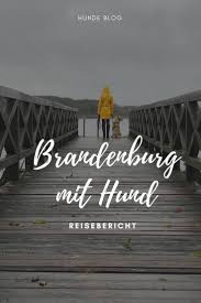 Urlaub Mit Hund Am Ruppiner See Ausflug Nach Warnemunde Urlaub Mit Hund Hund Reisen Urlaub In Brandenburg