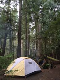 Olympic camping info includes photos, prices, seasons, and reservation links. Olympic National Park 5 Day Road Trip Itinerary Bearfoot Theory