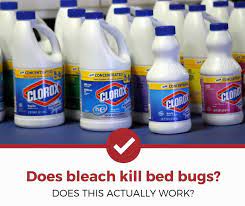 We did not find results for: Does Bleach Kill Bed Bugs The Answer Might Surprise You Pest Strategies