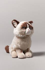 Gund Grumpy Cat Stuffed Animal Nordstrom Grumpy Cat Stuffed Animal Grumpy Cat Baby Cats