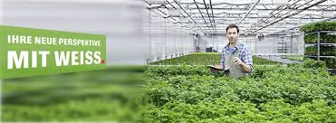 Liste der beliebtesten landschaftsbau in frankfurt am main; Stellenangebot Gartenhelfer In Garten Und Landschaftsbau M W D In Frankfurt Am Main Weiss Personalmanagement Gmbh Frankfurt