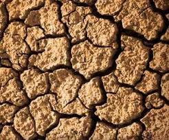 Are you driven by passion? What Is My Spirit Animal Take The Quiz To Find Out Spiritanimal Info