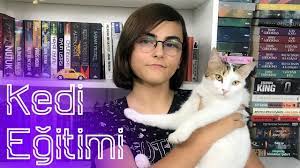 kedi egitimi kedim beni isiriyor ne yapmaliyim youtube