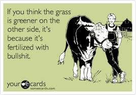 The Grass Is Always Greener On The Other Side Of The Fence Story Pin On Palabras