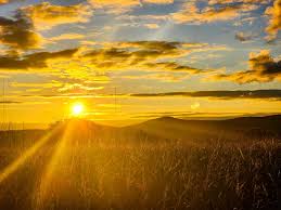 When your world moves too fast, and you lose yourself in the chaos,  introduce yourself to every color of the sunset." • • •  #canon#70D#canon_photos#canonusa#teamcanon#canon_photos#canon_ig#landscapephotography#landscape_lovers#naturephotography  ...