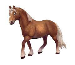 Maybe you would like to learn more about one of these? Kostenlose Fangrafiken Herunterladen Star Stable