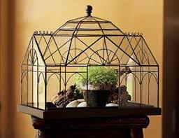 Tabletop Terrarium Tabletop Terrarium Victorian Greenhouses Wardian Case