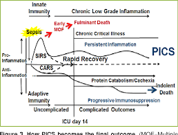 It can be hypothesized that cfs, at least at its early stages and at least in some cfs patients however, new studies are required to clarify this matter. Figure 3 From Persistent Inflammatory Immunosuppressed Catabolic Syndrome Pics A New Phenotype Of Multiple Organ Failure Semantic Scholar
