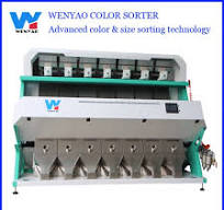 RGB Color Sorter Machine for Sorting White Black Yellow Coconut