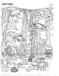 Drawn seaweed coloring page pencil and in color drawn. Color Plate 11 Kelp Bed Coloring Books Coloring Pages Shark Coloring Pages