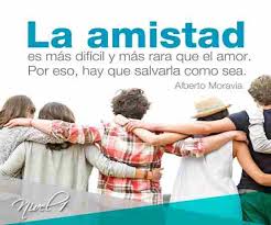 Ojalá que estas hermosas tarjetitas de amistad para whatsapp con mensajitos cortos hayan sido de tu. Frases Celebres Sobre La Amistad Y Los Amigos