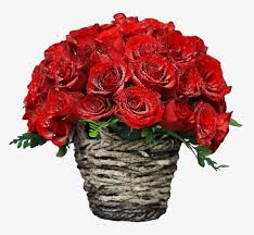 Kithul Basket With 50 Red Roses Rose Guldasta Free Transparent Png Download Pngkey Hello friends welcome to my chennal bittu art's & craft creations in this video i will show you how to make a beautiful foam guldasta/foam rose flower. kithul basket with 50 red roses rose