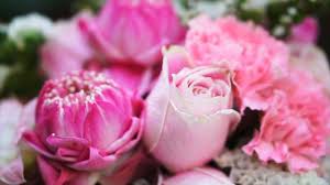 Our goal is to exceed our customers expectations with quality and value. Restaurants In Naples Fort Myers Offering Deals Specials On Valentine S Day