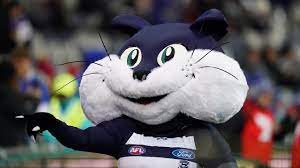 From guernseys and scarfs to socks and hoodies! Afl 2020 Geelong Cats Holding Auditions For Next Mascots