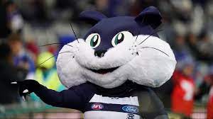 Find the geelong cats store here. Afl 2020 Geelong Cats Holding Auditions For Next Mascots